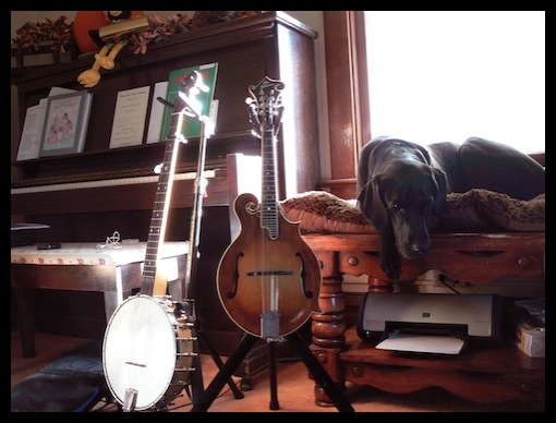 banjo, mandolin, and Ty